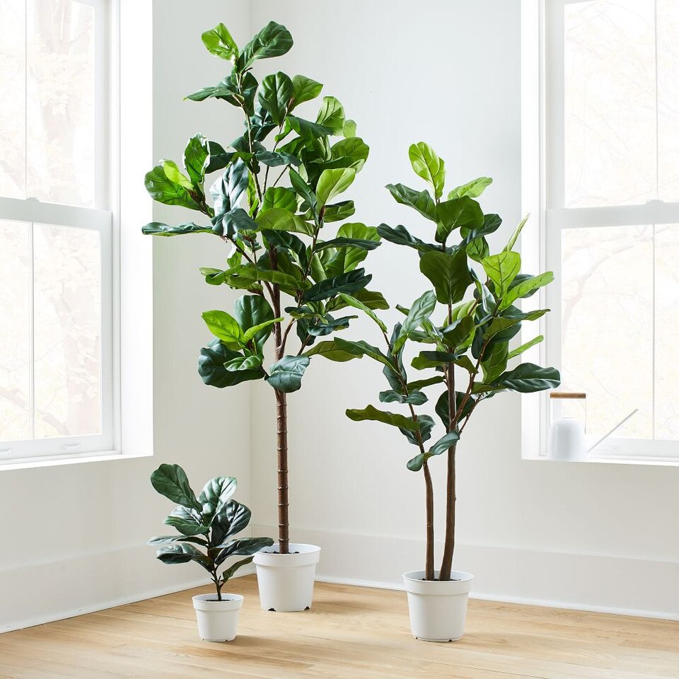 Faux Potted Fiddle Leaf Fig Plants West Elm UK